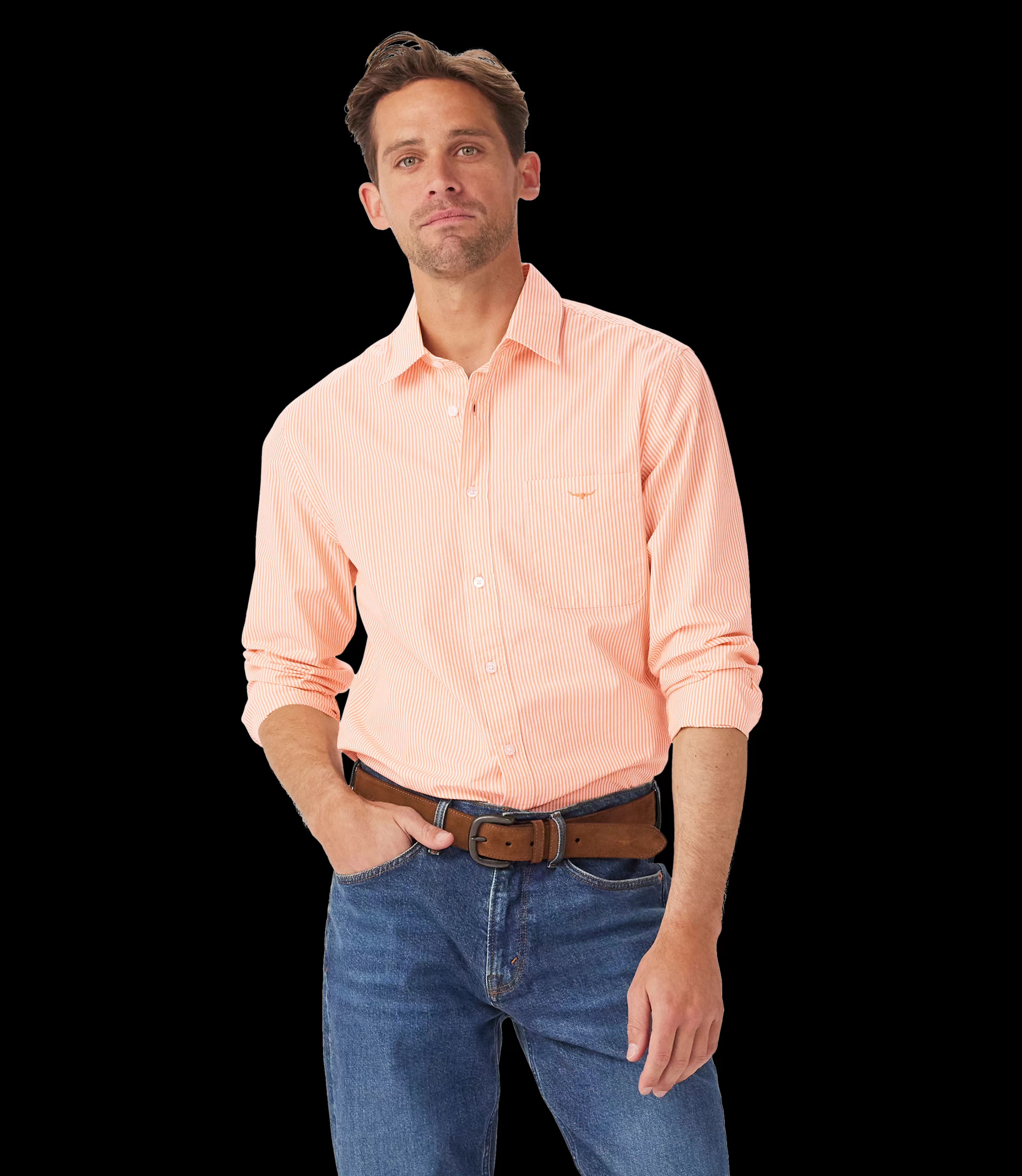 New Regular poplin shirt Shirts